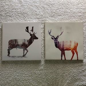 Elk Canvas